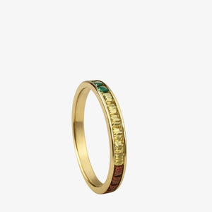 Color Ring i 18K guldbelagt rustfrit stål.